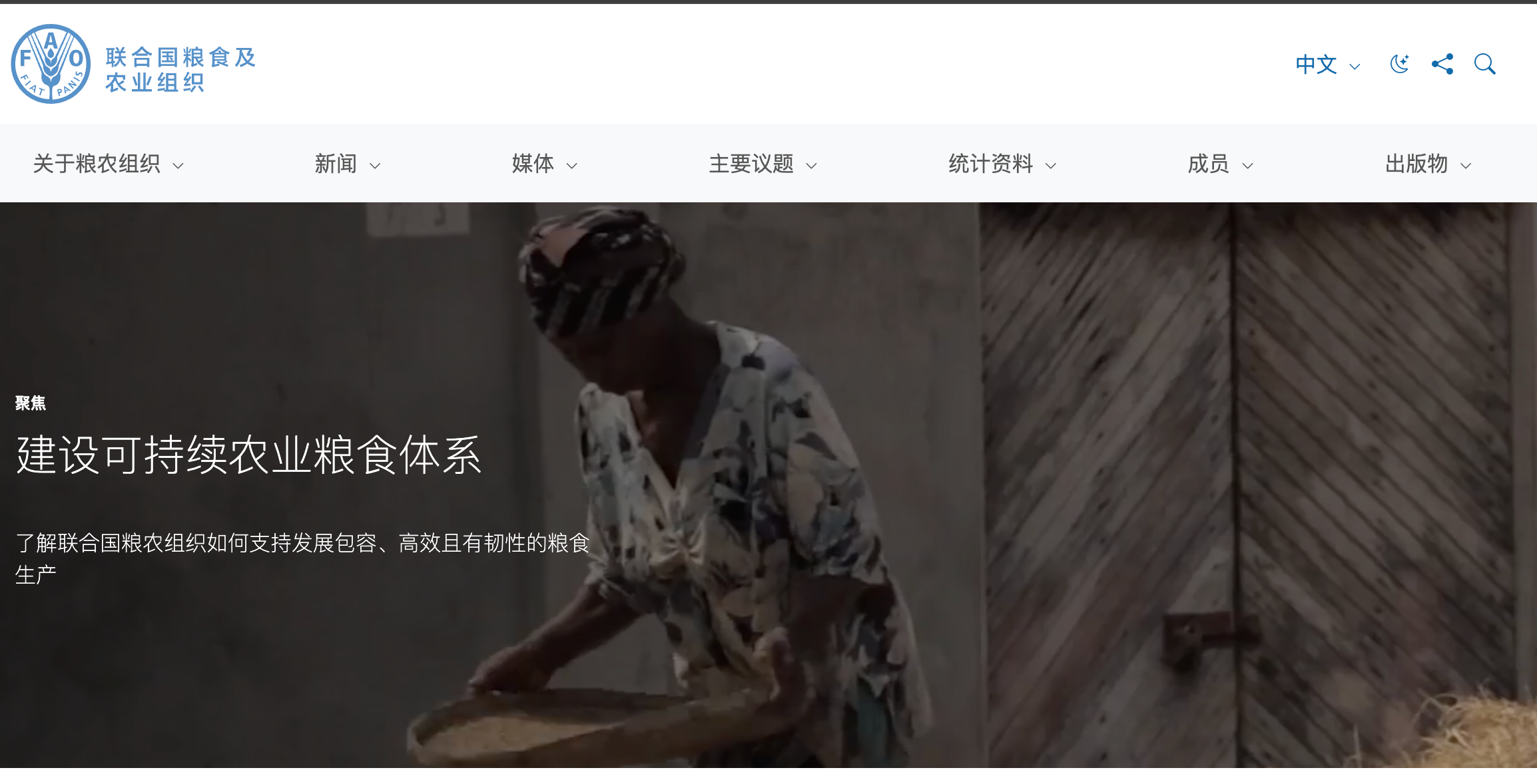 FAO 机构与粮食系统示意图